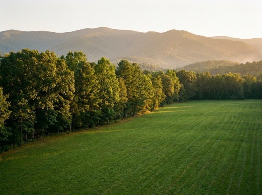 A cleared rural lot at the forest edge with the Blue Ridge mountains behind